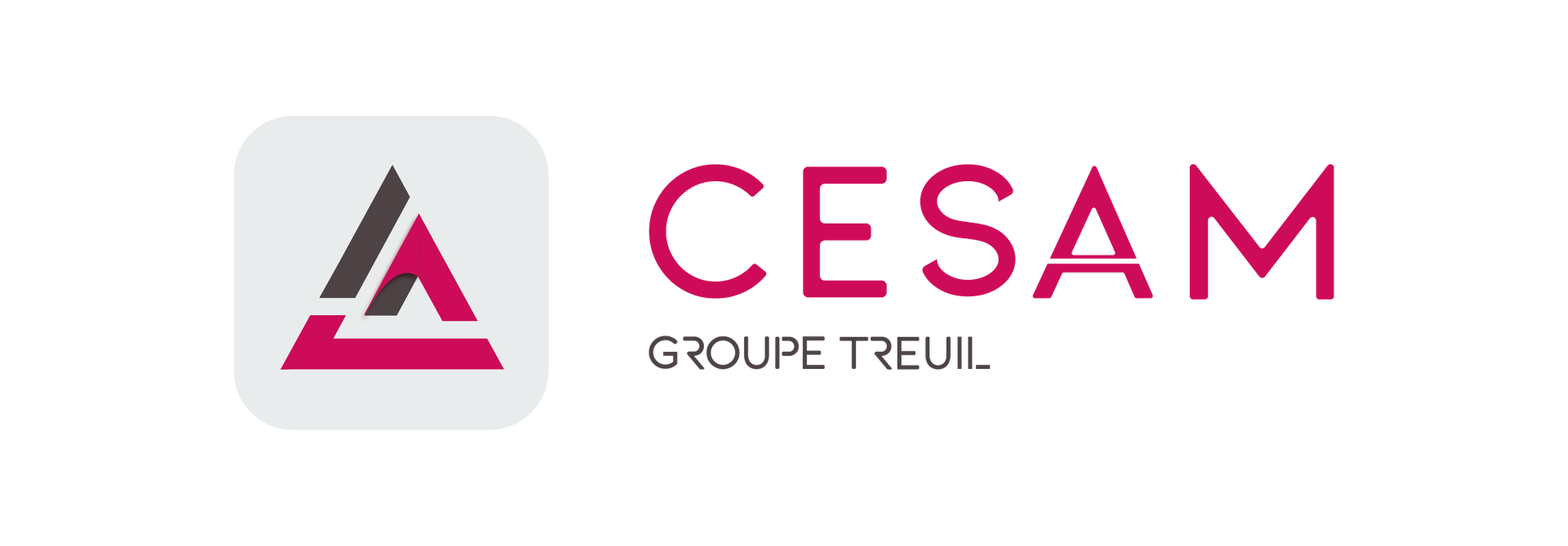 CESAM Construction CESAM Construction